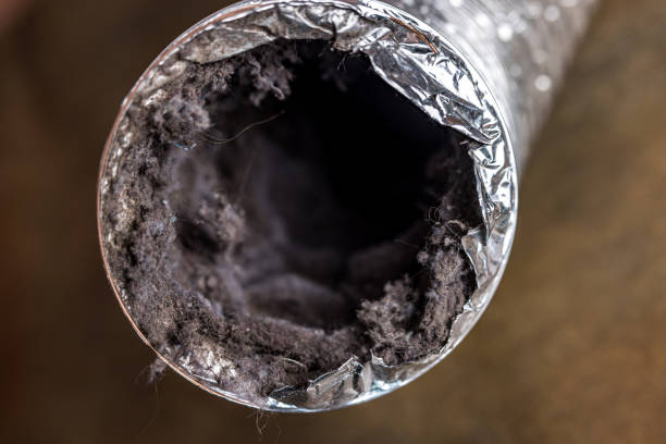 Best Professional Duct Cleaning Services  in Dacula, GA